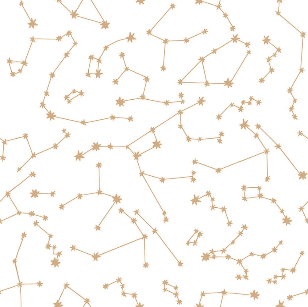 NIB tempaper × novogratz gold constellation peel & stick wallpaper